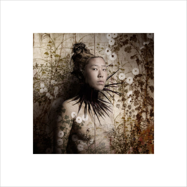 Signed Photographer Prints