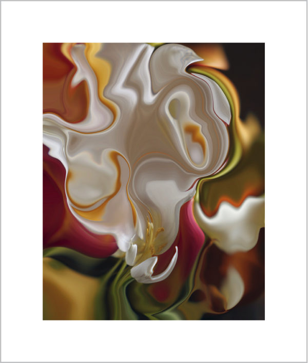 Signed Photographer Prints