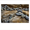 Signed Photographer Prints